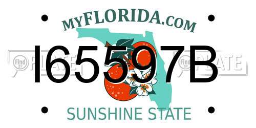I65597B Florida License Plate