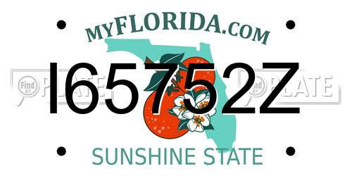 I65752Z Florida License Plate