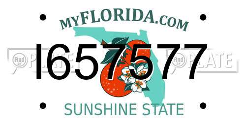 I657577 Florida License Plate