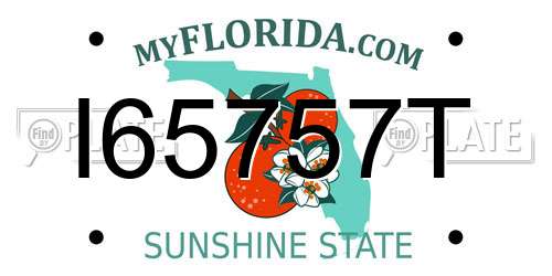I65757T Florida License Plate