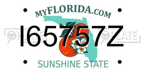 I65757Z Florida License Plate