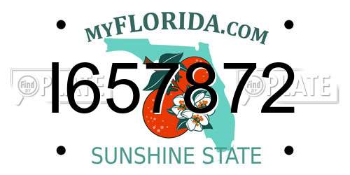I657872 Florida License Plate