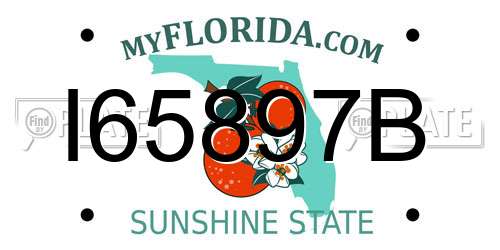 I65897B Florida License Plate
