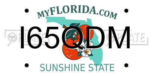 I65QDM Florida License Plate