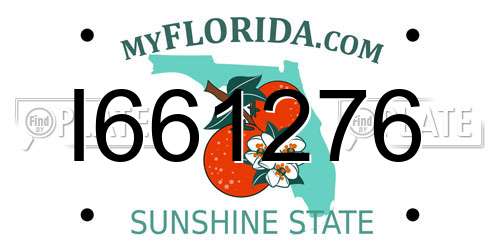 I661276 Florida License Plate