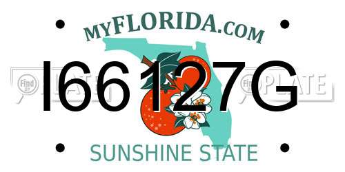 I66127G Florida License Plate