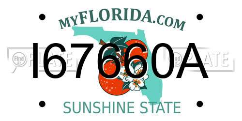 I67660A Florida License Plate