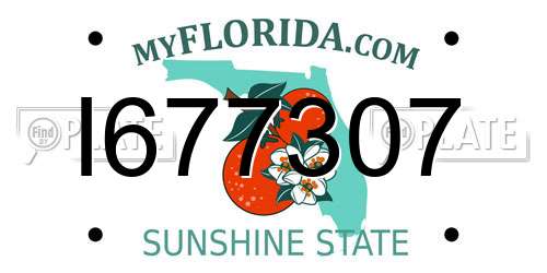 I677307 Florida License Plate