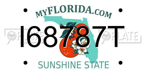 I68787T Florida License Plate