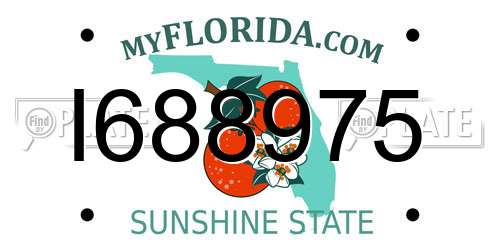 I688975 Florida License Plate