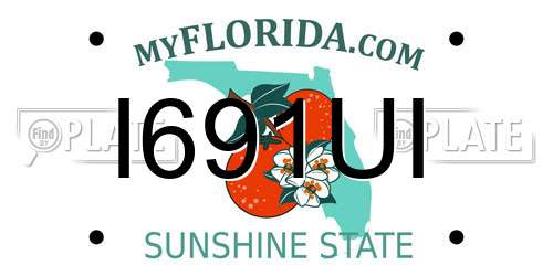I691UI Florida License Plate