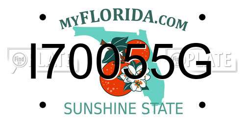 I70055G Florida License Plate