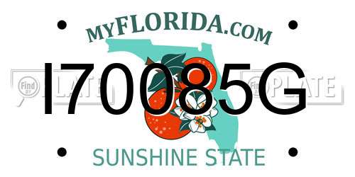 I70085G Florida License Plate