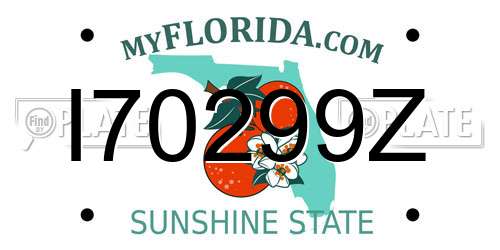 I70299Z Florida License Plate