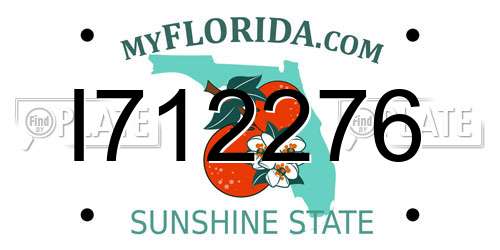 I712276 Florida License Plate