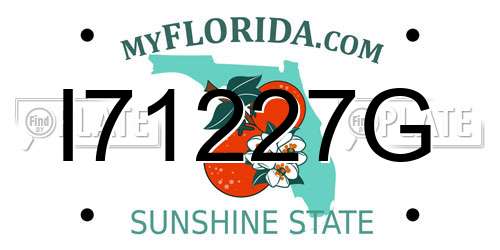 I71227G Florida License Plate