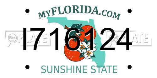 I716124 Florida License Plate