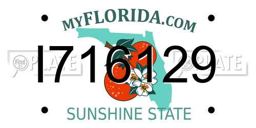I716129 Florida License Plate