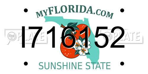 I716152 Florida License Plate