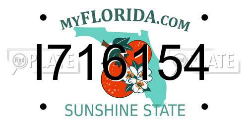 I716154 Florida License Plate