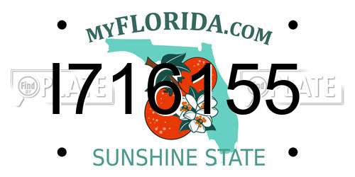 I716155 Florida License Plate