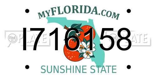 I716158 Florida License Plate