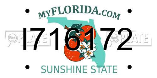 I716172 Florida License Plate