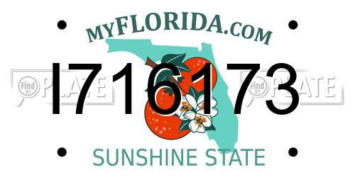 I716173 Florida License Plate
