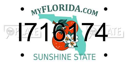 I716174 Florida License Plate