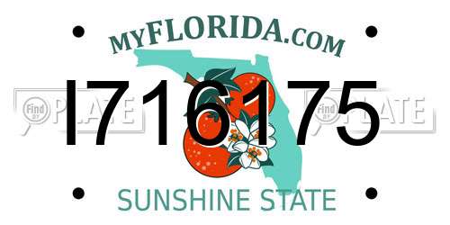 I716175 Florida License Plate