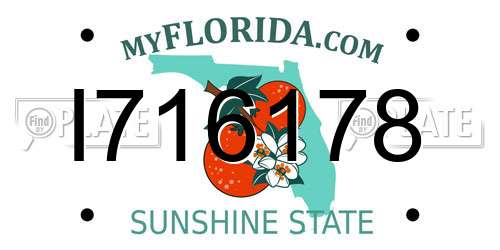 I716178 Florida License Plate