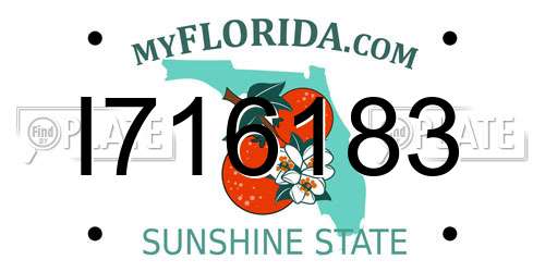 I716183 Florida License Plate