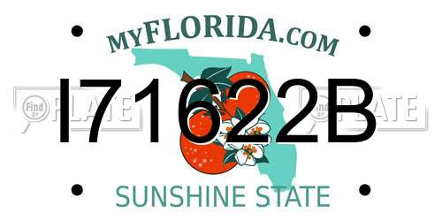 I71622B Florida License Plate