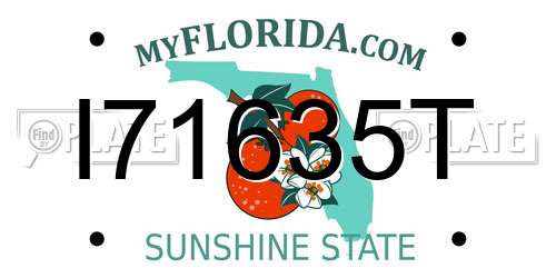 I71635T Florida License Plate