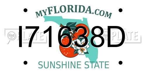 I71638D Florida License Plate
