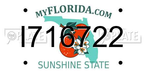 I716722 Florida License Plate