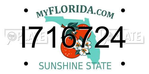 I716724 Florida License Plate