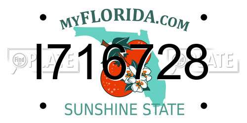 I716728 Florida License Plate