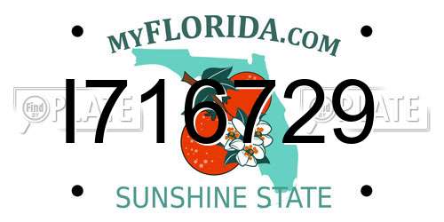 I716729 Florida License Plate