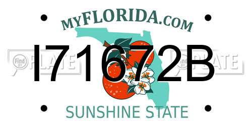 I71672B Florida License Plate