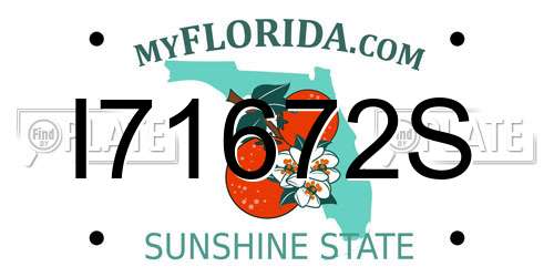 I71672S Florida License Plate