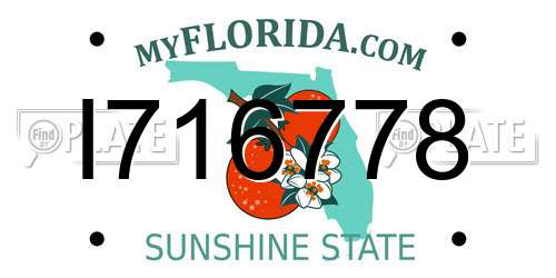 I716778 Florida License Plate