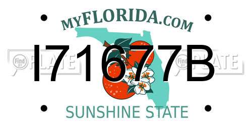 I71677B Florida License Plate