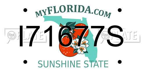 I71677S Florida License Plate