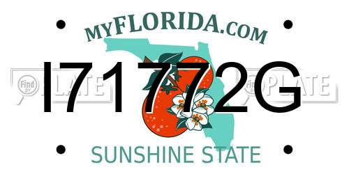 I71772G Florida License Plate