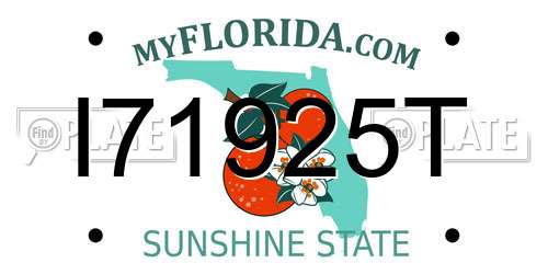 I71925T Florida License Plate