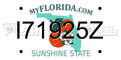 I71925Z Florida License Plate