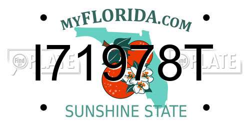 I71978T Florida License Plate