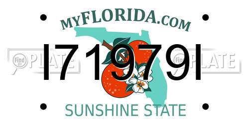 I71979I Florida License Plate