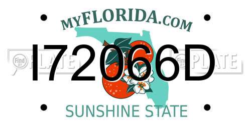 I72066D Florida License Plate